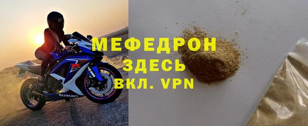 индика Богданович