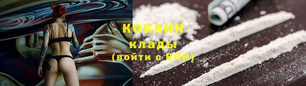 соль ск Сосновый Бор