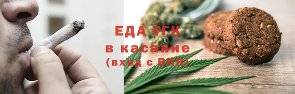 индика Богданович