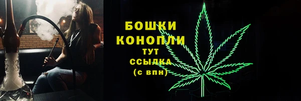 ECSTASY Богородск