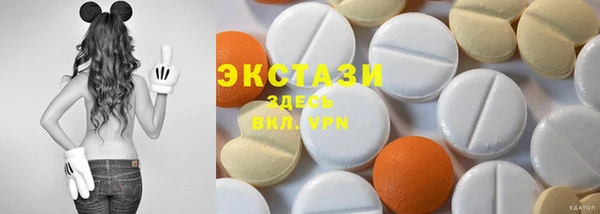 индика Богданович