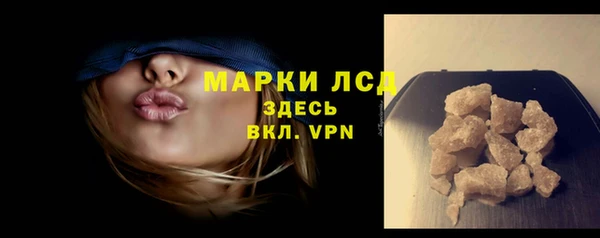 индика Богданович