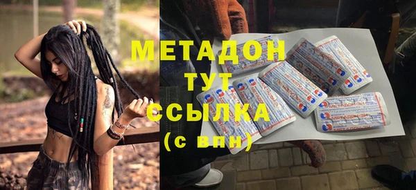 индика Богданович