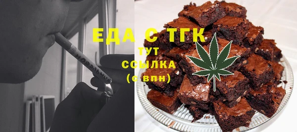 индика Богданович