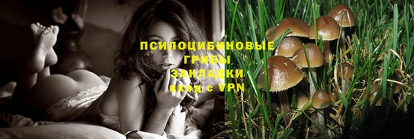 мяу мяу мука Белоозёрский