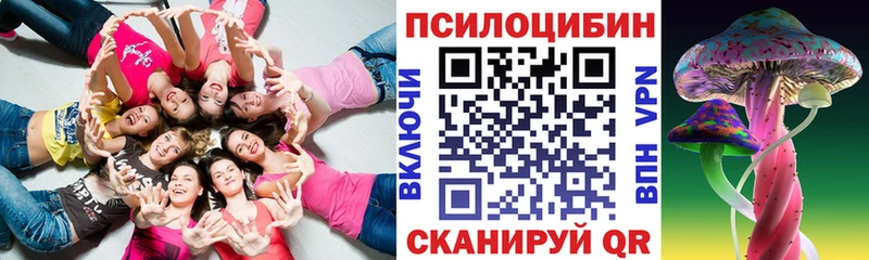 Псилоцибиновые грибы Cubensis  гидра сайт  Ипатово  купить наркоту 